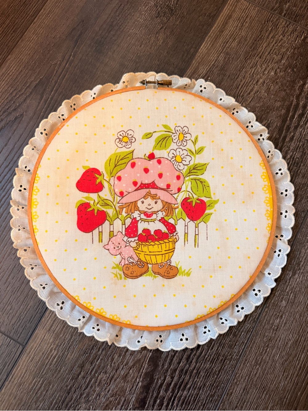 Vintage Strawberry Shortcake Embroidery Hoop Art Piece